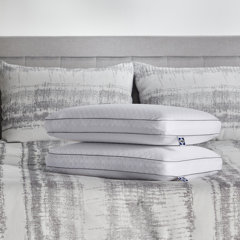 Liz claiborne platinum cool pillow sale